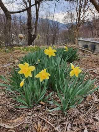 노아마님의 자유주제 · 자유게시판 작성글 사진