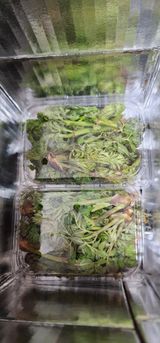 팜모닝 · 게시글 이미지