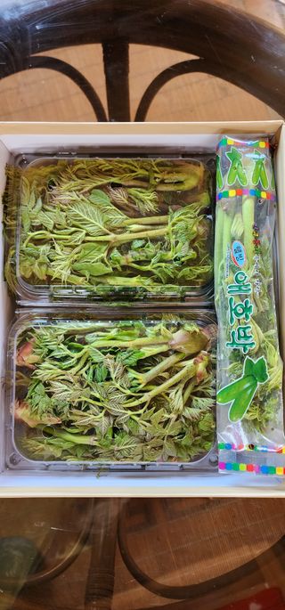 김우진님의 작성글 사진