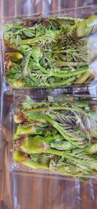 김우진님의 작성글 사진