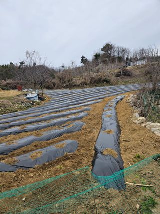 빠꼼이님의 자유주제 · 자유게시판 작성글 사진