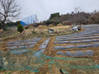 빠꼼이님의 자유주제 · 자유게시판 작성글 사진