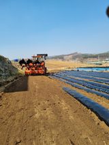 팜모닝 옥수수·영농일지 게시글 이미지