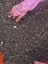 팜모닝 자유주제·칭찬해요 게시글 이미지