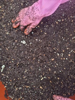 김석중님의 자유주제 · 칭찬해요 작성글 사진