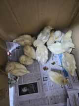 팜모닝 자유주제·사진전 게시글 이미지