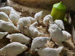 고추18330님의 자유주제 · 사진전 작성글 사진