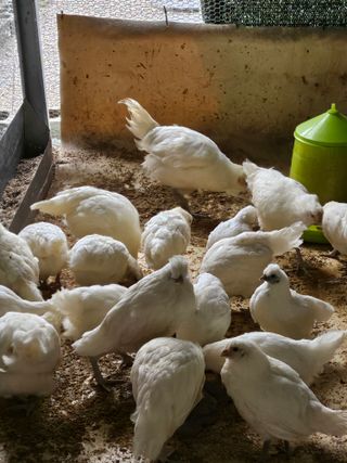 고추18330님의 자유주제 · 사진전 작성글 사진