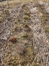 팜모닝 기타작물·영농일지 게시글 이미지