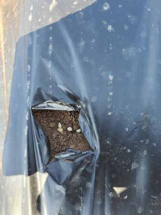 김영복님의 자유주제 · 자유게시판 작성글 사진