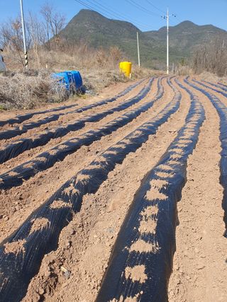 김영복님의 자유주제 · 자유게시판 작성글 사진