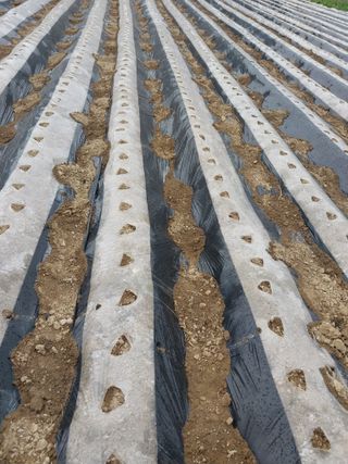 5월출석왕이레요님의 자유주제 · 자유게시판 작성글 사진