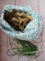 팜모닝 자유주제·자유게시판 게시글 이미지