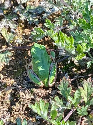 장호정님의 자유주제 · 자유게시판 작성글 사진