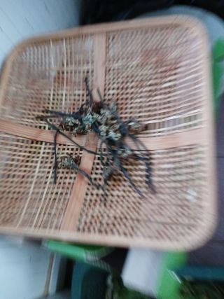 장호정님의 자유주제 · 자유게시판 작성글 사진