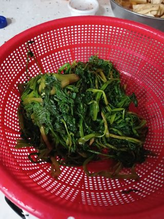 장호정님의 자유주제 · 자유게시판 작성글 사진