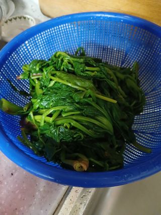 장호정님의 자유주제 · 자유게시판 작성글 사진