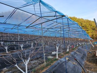 우인국님의 기타작물 · 영농일지 작성글 사진