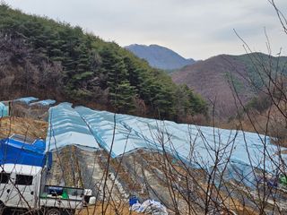 우인국님의 기타작물 · 영농일지 작성글 사진