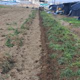 팜모닝 기타작물·영농일지 게시글 이미지