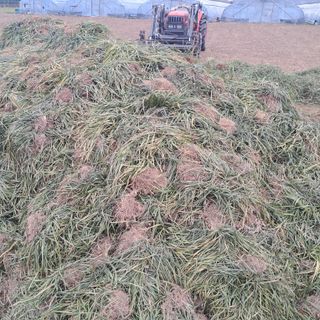 이은화님의 기타작물 · 영농일지 작성글 사진