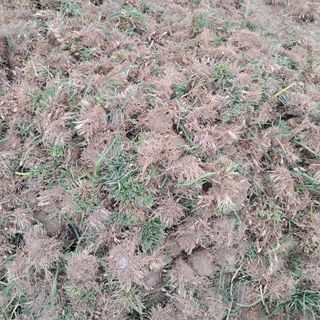 이은화님의 기타작물 · 영농일지 작성글 사진