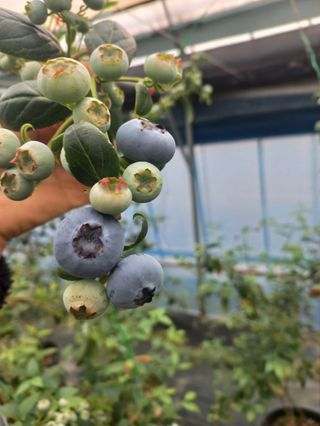 하늘농원님의 자유주제 · 자유게시판 작성글 사진