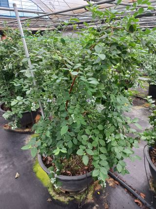 하늘농원님의 자유주제 · 자유게시판 작성글 사진