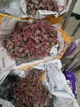 팜모닝 자유주제·자유게시판 게시글 이미지