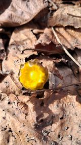 팜모닝 자유주제·자유게시판 게시글 이미지