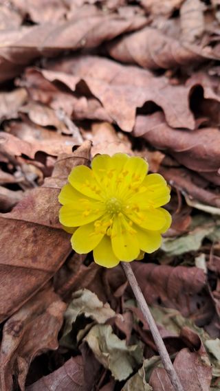 김미경님의 자유주제 · 자유게시판 작성글 사진