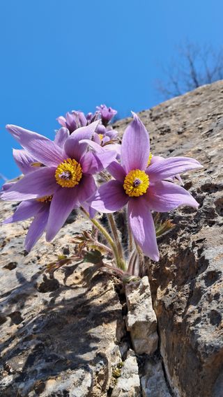 김미경님의 자유주제 · 자유게시판 작성글 사진