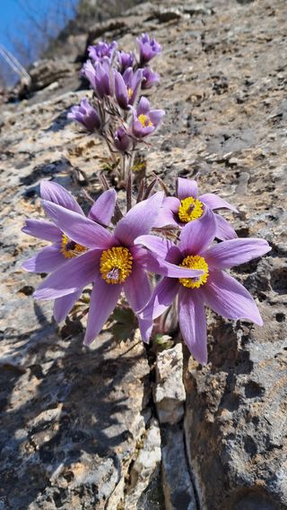 김미경님의 자유주제 · 자유게시판 작성글 사진