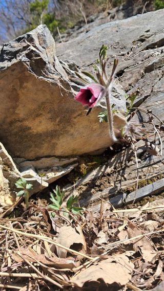 김미경님의 자유주제 · 자유게시판 작성글 사진