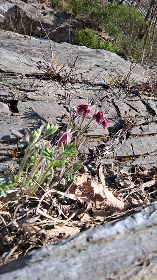 김미경님의 자유주제 · 자유게시판 작성글 사진