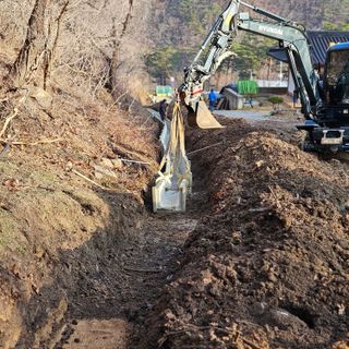 내땅님의 두릅 · 영농일지 작성글 사진