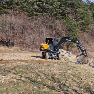 내땅님의 두릅 · 영농일지 작성글 사진