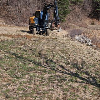 내땅님의 두릅 · 영농일지 작성글 사진