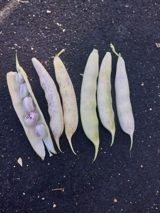 5월출석왕이레요님의 자유주제 · 자유게시판 작성글 사진