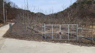 모실표고님의 자유주제 · 자유게시판 작성글 사진