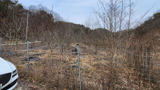 모실표고님의 자유주제 · 자유게시판 작성글 사진