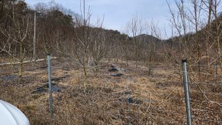 모실표고님의 자유주제 · 자유게시판 작성글 사진