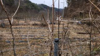 모실표고님의 자유주제 · 자유게시판 작성글 사진