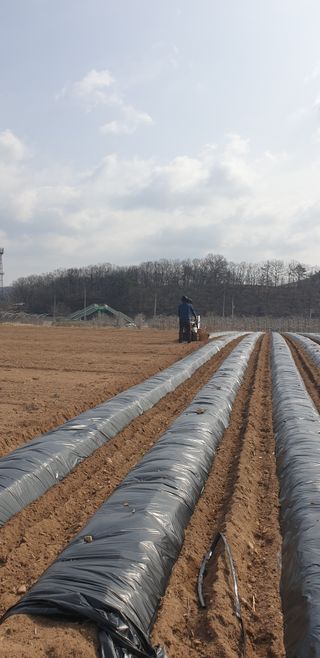 김화순님의 자유주제 · 자유게시판 작성글 사진