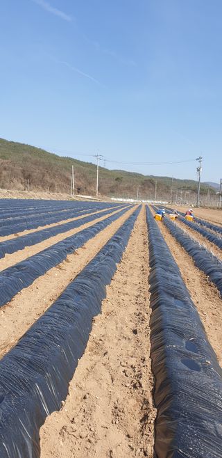 김화순님의 자유주제 · 자유게시판 작성글 사진