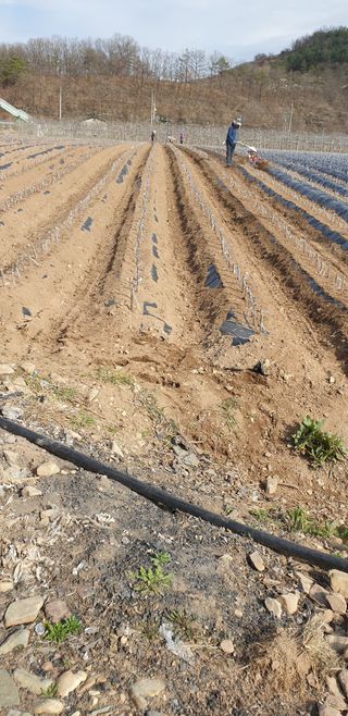 김화순님의 자유주제 · 자유게시판 작성글 사진