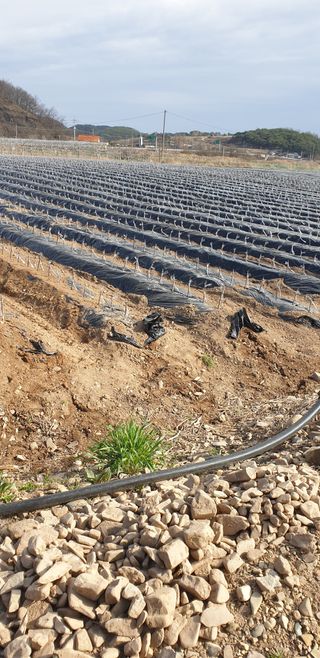 김화순님의 자유주제 · 자유게시판 작성글 사진