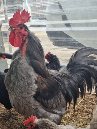 이병철님의 자유주제 · 자유게시판 작성글 사진