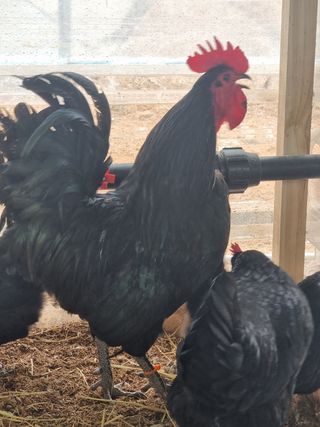 이병철님의 자유주제 · 자유게시판 작성글 사진