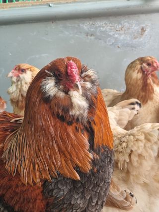 이병철님의 자유주제 · 자유게시판 작성글 사진